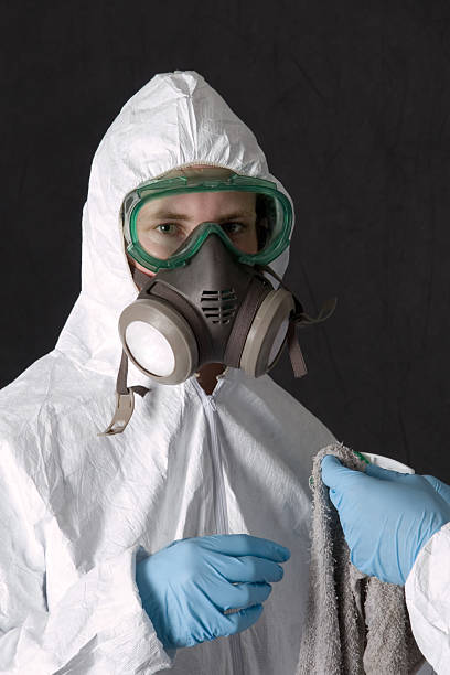 Best Asbestos and Lead Testing During Mold Inspection  in Josephine, TX